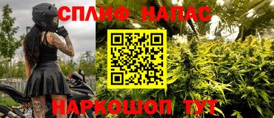 ECSTASY Бийск